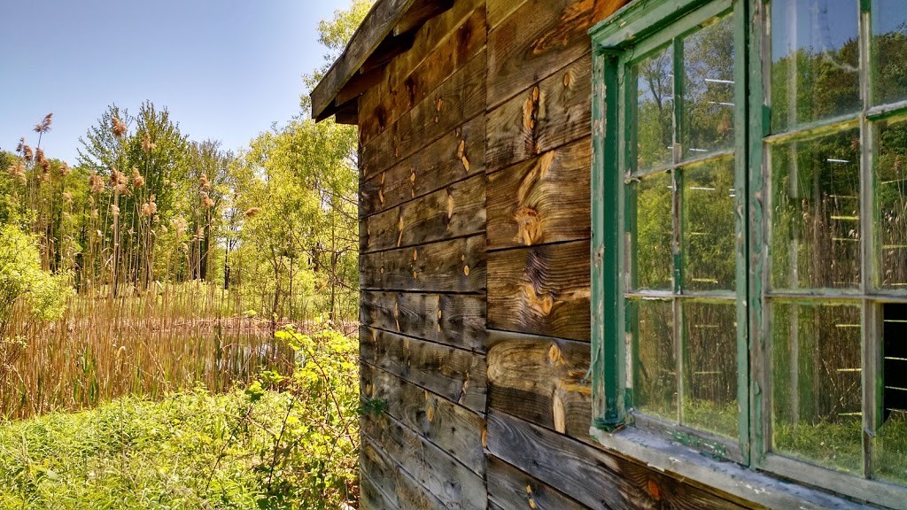 weathered2