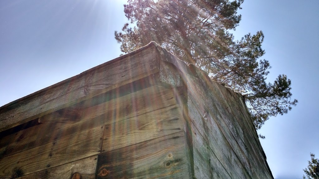 weathered3