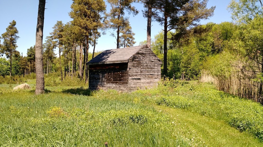 weathered5