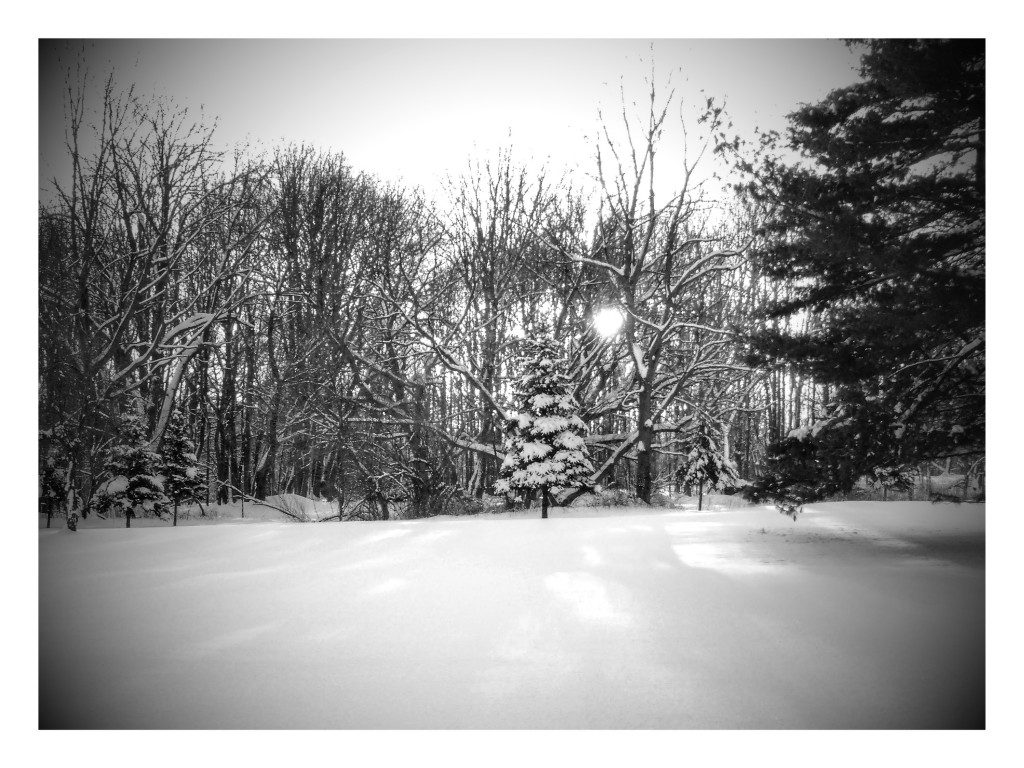 winter2016-5