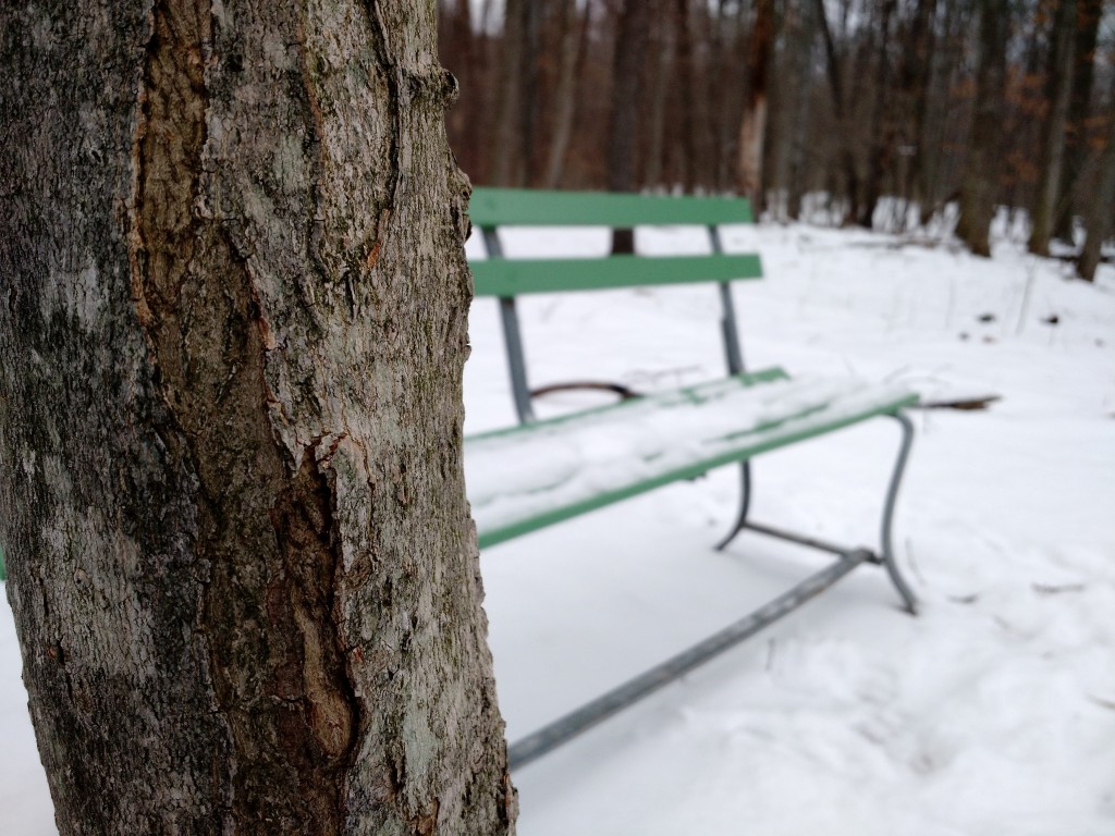 winter2016-6