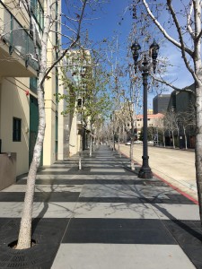 sandiego7