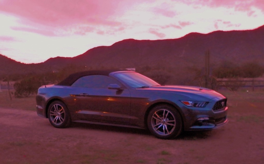 Mustang Sunset