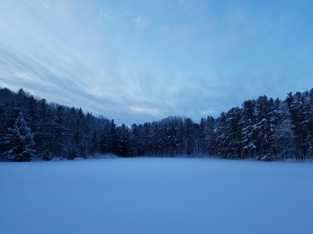Yuletide Greetings